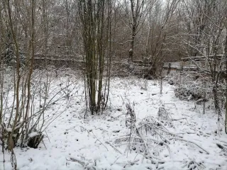3/16 доли дома и 3/16 доли земельного участка, Ивановская область, г. Фурманов, ул. Октябрьская, дом 26а. Земельный участок, категория земель: Земли населенных пунктов, разрешенное использование: для существующего индивидуального жилищного строительства, общая площадь 1 436,05 кв. м., кадастровый…