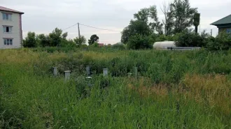 Земельный участок 650 кв.м и дом 22,3 кв.м Новосибирская область Тогучинский район город Тогучин улица Майская дом 43 Кадастровый номер участка 54:24:010121:37 кадастровый номер дома 54:24:010121:193