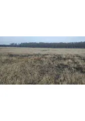 Земельный участок площадью 600 кв.м, расположенный по адресу: Республика Татарстан, Лаишевский муниципальный район, Среднедевятовское сельское поселение, кадастровый номер: 16:24:100501:903. Находится в залоге у ПАО "Sberbank".