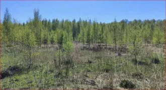 Земельный участок, 800 кв.м, Московская область, городской округ Раменский, д. Булгаково, кадастровый номер: 50:23:0050553:1191