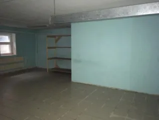 Нежилое помещение площадью 124,1 кв.м, кадастровый номер 43:40:000459:3739, адрес: Кировская область, город Киров, улица Ленина, дом 191.