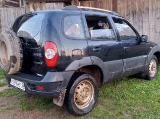 Лот № 1  транспортное средство – легковой автомобиль, марка – Chevrolet Niva категория ТС В, VIN X9L212300A0298305, год выпуска ТС 2010, цвет – черно синий металлик  залог АО «ТБанк» . ТС зарегистрировано за Александровым Петром Васильевичем  Должник Борисова А.Ю. 
