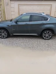 BMW X6 xDrive35i 2009 года. VIN-номер WBAFG41050L343071.