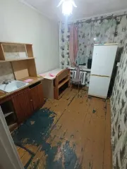 Доли квартиры и помещения, 43.1 кв.м, Челябинская обл. 1/4 доля квартиры в Челябинской обл. еще 1/4 доля квартиры в Челябинской обл. еще 1/4 доля в помещении, площадь 43.1 кв.м., назначение: Жилое, вид жилого помещения: квартира, этаж: 1, адрес (местонахождение): 457388, Челябинская обл…