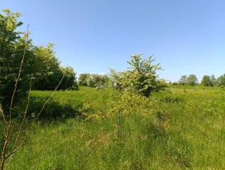 Земельный участок 66 500 кв. м, Калининградская область. Земельный участок - 66 500 +/- 2 256 кв. м, адрес: местоположение установлено относительно ориентира, расположенного в границах участка, почтовый адрес ориентира: Калининградская обл., Гурьевский р-н, ТОО «Прибрежное-1», кадастровый номер…