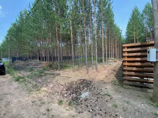 Земельный участок 984 кв.м для дачного строительства Красноярский край Земельный участок, по адресу: Местоположение установлено относительно ориентира, расположенного в границах участка.Ориентир с. Устюг. Почтовый адрес ориентира: Красноярский край, Емельяновский район, трапеция 4452, контур 453р…
