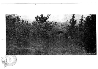 Земельный участок 86 кв.м, расположенный по адресу: Республика Крым, г. Ялта, п. Олива, ул. Перевальная, уч. №2, ниже воинской части, площадью 86 +/- 3 кв.м., земли населенных пунктов. Зона с особыми условиями. Вид разрешённого использования земельного участка: 2.1. Кадастровый номер…