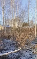 Земельный участок 722 кв.м, Московская область. Кадастровый номер: 50:01:0010108:233. Вид разрешённого использования: 2.1.