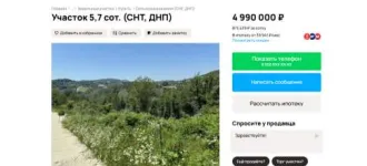 Земельный участок 300 кв.м, Краснодарский край, Сочи. Кадастровый номер 23:49:0000000:11534, расположенный по адресу: Краснодарский край, г. Сочи, р-н Адлерский, с. Вардане-Верино, 300 +/-6. Имущество находится в совместной собственности с супругом Гурьяновым С.Н.