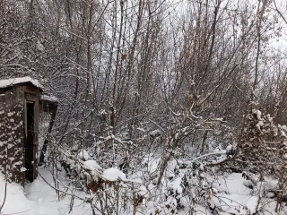 1/2 доля земельного участка в Магнитогорске, 1/2 доли земельного участка, площадью 546 кв.м., назначение: Земли населенных пунктов, адрес (местонахождение): 455016, Челябинская обл, г Магнитогорск, Ленинский р-н, тер СНТСН Коммунальник, д 127, кадастровый (условный) номер: 74:33:0120001:233