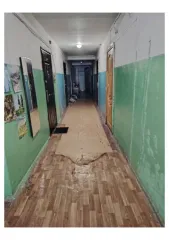 Комната 19.7 кв.м, Нижегородская область 2/5 доли комнаты, еще 2/5 доли комнаты и 2/5 доля помещения, площадь 19.7 кв.м., назначение: Жилое, количество этажей: 2, адрес (местонахождение): Российская Федерация, Нижегородская область, муниципальный округ Богородский, город Богородск, улица Туркова…