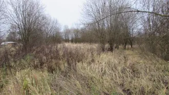 Земельный участок 1648 м², Московская область. Кадастровый номер: 50:34:0010501:6209. Вид разрешённого использования: 2.1.