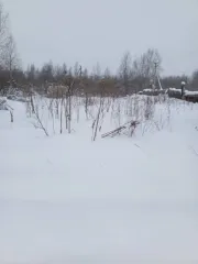 Земельный участок, площадь: 1 600 кв.м., адрес (местонахождение): Архангельская область, Плесецкий район, с. Конево, ул. Проймачевская, дом № 3, категория земель: Земли населенных пунктов, разрешенное использование: Для ведения личного подсобного хозяйства, кадастровый номер: 29:15:161503:115…