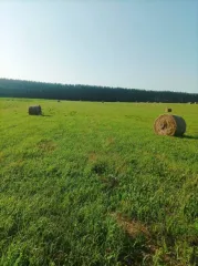 Земельный участок 7000 кв.м Респ Марий Эл, площадь 7000 кв.м, категория земель: земли населенных пунктов, разрешенное использование: для ведения личного подсобного хозяйства, адрес: Россия, Респ Марий Эл, р-н Новоторъяльский, д Ноли Кукмарь, ул Ноли Кукмарь, дом 25, кадастровый номер…