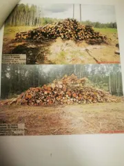 Древесина береза, осина, ель, сосна, ольха. Береза – 478,5 куб.м (деловая: крупная – 7,2 куб.м, средняя – 58,4 куб.м, мелкая – 5,7 куб.м, дровяная – 407,2 куб.м), осина – 293,6 куб.м (дровяная – 293,60 куб.м), ель – 228 куб.м (деловая: крупная – 9,3 куб.м, средняя – 66,4 куб.м, мелкая – 13,4 куб.м…