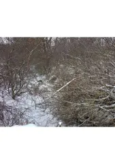 3/4 доли земельного участка, 986 кв.м., Саратовская обл., п. Нагорный. Участок площадью 986 кв.м., адрес (местонахождение): Саратовская обл., Лысогорский р-н, п. Нагорный, 25 м южнее д. 13 по ул. Сосновая, категория земель: Земли населенных пунктов, разрешенное использование: для ведения личного…