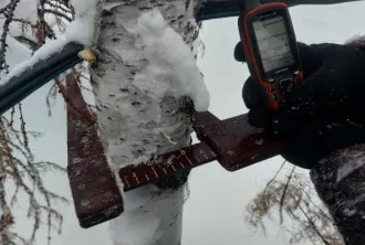 Древесина разных пород 9,784 м3, Красноярский край. Стволы деревьев породы: -«Береза» - 7 шт. – 1,710 м3; -«Лиственница» - 5шт. – 0,706 м3; -«Ель» - 16 шт. – 1,914 м3; -«Кедр» - 6 шт. – 0,624 м3; -«Сосна» - 6 шт. – 4,590 м3; -«Осина» - 1 шт. – 0,24 м3, общий объем 9,784 м3 (860 ВД/МВД/СО), хранятся…