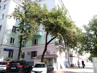 Нежилое помещение по адресу: г. Москва, просп. Будённого, д. 17 площадью 173,2 кв. м (Подвал № 0), кадастровый номер: 77:03:0004006:6375. Назначение: культурно-досуговое, образовательное.