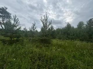 Земельный участок, 1723 м², Московская область, с КН 50:29:0040704:351. Площадь: 1723 м². Кадастровый номер: 50:29:0040704:351. Основной вид разрешенного использования: 2.1.