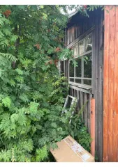 Квартира, 44,2 кв.м, Кировская область 1/3 доля квартиры в Кировской обл. еще 1/3 доля квартиры в Кировской обл. еще 1/3 доля в праве на жилое помещение, площадь: 44,2кв.м., адрес (местонахождение): Российская Федерация, Кировская область, м.р-н Белохолуницкий, г.п. Белохолуницкое, г. Белая…