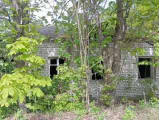 Земельный участок 9300 кв.м с постройками 481.2 кв.м, Брянская область. Продажа по минимально допустимой цене. Кадастровый номер участка 32:18:0090102:126, реестровый номер федерального имущества П11340001625. На участке расположены: бригадный дом площадью 161,3 кв. м с кадастровым номером…