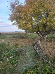 Земельный участок площадью 2500 кв.м. Адрес: Россия, Челябинская область, Верхнеуральский район, поселок Казанцевский, улица Степная, дом (участок) 10. Кадастровый номер: 74:06:1701006:275. Ознакомление с имуществом по месту нахождения по предварительной записи по телефону: 8-912-808-70-00.