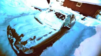 ВАЗ 21120 2003, автомобиль ВАЗ 21120, г.р.з. О539ЕА11, золотисто серого цвета, VIN: XTA21120030140317, 2003 г.в. (11-008660-1). Детальная информация об имуществе представлена в приложении 4 к информационному сообщению. Техническое состояние — не проверялось. Вид транспорта: Легковые автомобили. Год…