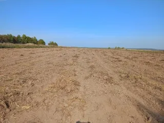 Земельный участок 8997 кв.м РМЭ для сельскохозяйственного производства, площадью 8997.00 кв. м., кадастровый номер: 12:02:0080106:394, расположенный по адресу: РМЭ, Горномарийский муниципальный район. Вид разрешённого использования земельного участка: 1.0