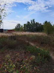 1/4 доля земельного участка 600 кв.м, ИЖС, Тамбовская обл, Моршанск. 1/4 доля в праве на земельный участок, площадь: 600кв.м, кадастровый номер: 68:27:0000151:290, категория земель: земли населенных пунктов, вид разрешенного использования: для индивидуального жилищного строительства, адрес…