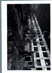 Здание кадастровый номер 68:28:0000019:747 и земельный участок 68:28:0000019:656 Общая площадь 45085.4