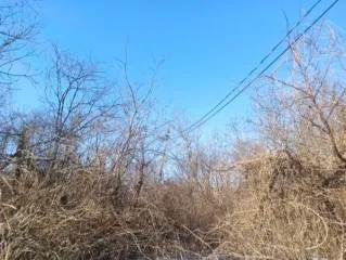 Земельный участок 1650 м², Приморский край, Владивосток. Аренда земельного участка площадью 1650 кв. м, расположенного по адресу: Приморский край, г.о. Владивостокский, г. Владивосток, ул. Находкинская, з/у 17в. Земельный участок с кадастровым номером 25:28:050067:1069, площадь 1650 кв. м, адрес…