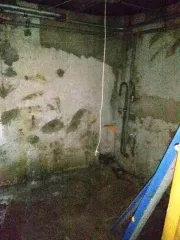 Нежилые помещения (кладовые) по адресу: Санкт-Петербург, Московское ш., д. 26, корп. 2, стр. 1: №32-Н, кад. №78:14:0007685:5569, площадь 12,2 кв.м.; №33-Н, кад. №78:14:0007685:5570, площадь 7,5 кв.м.; №34-Н, кад. №78:14:0007685:5571, площадь 5,3 кв.м.; №35-Н, кад. №78:14:0007685:5572, площадь 5…