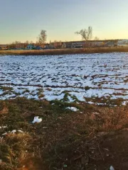 Земельный участок 2750 кв.м в Иркутской области, Братский район, село Калтук, улица Спортивная, дом 7. Назначение: земли населенных пунктов. Кадастровый номер: 38:02:130101:2062.