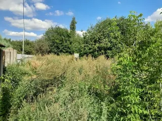 Земельный участок 1 476 кв. м, Раменский р-н, с. Софьино, Московская обл. Земельный участок — 1 476 кв. м, адрес: местоположение установлено относительно ориентира, расположенного в границах участка, ориентир: участок 137с, почтовый адрес ориентира: Московская обл., Раменский р-н, с. п. Софьинское…