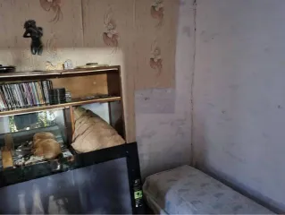 Доли дома и земли, 37,5 кв.м, Ставропольский край, Изобильный 1/3 доля дома и 1/3 доля земельного участка в Ставропольском крае еще 1/3 доля дома и 1/3 доля земельного участка в Ставропольском крае еще 1/3 доля в праве на жилое здание, площадь: 37,5кв.м., кадастровый номер: 26:06:121011:51 и 1/3…