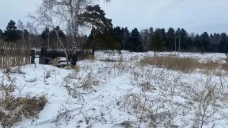 Земельный участок из земель населённых пунктов площадью 1000 кв.м, кадастровый номер 38:06:080401:845, адрес: Российская Федерация, Иркутская область, муниципальный район Иркутский, сельское поселение Ревякинское, деревня Черемушка, улица Кудинская, земельный участок 13.