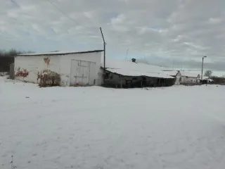 Нежилое здание 922.2 кв. м, участок 11456 кв. м, Псковская область. Нежилое здание с земельным участком: нежилое здание общей площадью 922,2 кв. м, КН 60:18:0153507:336; земельный участок общей площадью 11456 кв. м, КН 60:18:0153507:61, категория земель: земли населенных пунктов. Расположено по…