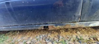 Daewoo Nexia 2006 года, 85 л.с., пробег 450000 км. VIN: XWB3D31UD6A098194, тип кузова седан, цвет темно-синий, госномер Р422ХМ93. Имеются внешние повреждения: потертости, царапины, вмятины, очаги коррозии на кузове, трещины и сколы стекол. Отсутствуют ключи, доступ внутрь, документы ПТС и СТС, а…