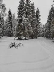 1/8 Доля земельного участка, 81 879 кв.м., Республика Алтай, 1/8 доля земельного участка на Алтае, еще 1/8 доля земельного участка на Алтае, еще земельный участок, для ведения личного подсобного хозяйства, 04:08:080404:224, местоположение установлено относительно ориентира, расположенного за…