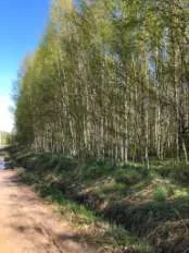 Земельный участок, 76:09:093401:2343, Ярославская обл., Некрасовский р-н, с/о Климовский, 1534 +/-27 кв.м.