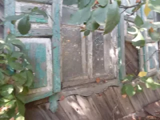 1/3 доля в праве на жилое здание площадью 38,5 кв.м, кадастровый номер 64:38:220105:49 (ветхое) и 1/3 доля в праве на земельный участок площадью 661 кв.м, категория земель: земли населенных пунктов, разрешенное использование: для ведения личного подсобного хозяйства, кадастровый номер…