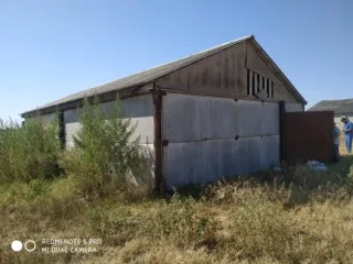 Нежилое здание - птицефабрика, лит. А, общей площадью 1242,3 кв.м, кадастровый номер 06:01:0900001:1635; Нежилое здание - птичник, лит. Г1, общей площадью 1224,6 кв.м, кадастровый номер 06:01:0900001:1889; Земельный участок. Категория земель: Земли населённых пунктов, виды разрешенного…