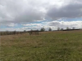 Земельный участок, площадью 746+/-10 кв.м., кадастровый номер 19:01:130501:1073, расположенный по адресу: РОССИЯ, Республика Хакасия, городской округ город Абакан, город Абакан, Территория СОСН Колягинские холмы-Колягино-1, улица Пихтовая, земельный участок 23А.