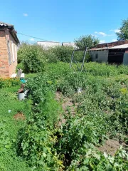 Земельный участок 600 кв.м Омская область 1/2 доля в праве собственности на земельный участок, кадастровый номером 55:23:290101:197, находящийся по адресу: Омская область, р-н РусскоПолянский, с. Солнечное, ул.60 лет Октября, д. 11-1, площадью 600 кв.м.