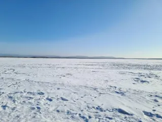 Земельный участок 800 кв. м, сельхозназначения, Кабанский р-н, Республика Бурятия. Кадастровый номер 03:09:670103:473, категория земель — земли сельскохозяйственного назначения, вид разрешенного использования — для сельскохозяйственного производства. Местоположение установлено относительно…