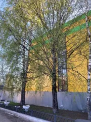 Земельный участок 2521 кв.м, объект незавершенного строительства 2085.7 кв.м, Киров Земельный участок, категория земель: земли населенных пунктов, разрешенное использование: деловое управление, общая площадь 2 521 кв.м, адрес местонахождения: г.Киров, ул.Московская, д.98Б, кадастровый номер…