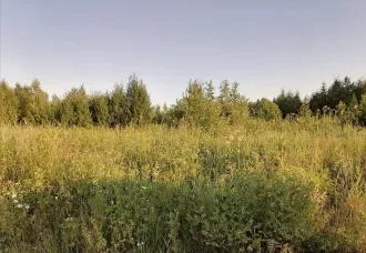 Земельный участок 1500 м², городской округ Ревда Зем. уч. пл. 1500 м2, СО, го Ревда, залог PAO Sberbank - Земельный участок с кадастровым номером 66:21:1401002:410, площадью 1 500 м², местоположение «Свердловская область, городской округ Ревда, севернее с. Кунгурка, урочище Дегтярные, сектор М…