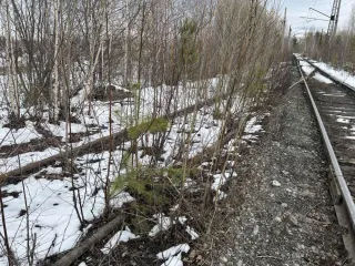 Железнодорожные пути Гороблагодатского рудника, 680 м, Свердловская область, сооружение: железнодорожные пути Гороблагодатского рудника, назначение: производственное, протяженность: 680 м, адрес: Свердловская область, г. Кушва, восточная часть города Кушвы, участок между разъездом Благодать и…