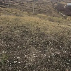 Земельный участок 1089 кв.м, Ставропольский край. Право на заключение договора аренды сроком на пять лет. Кадастровый номер 26:32:051401:227. Адрес: Российская Федерация, Ставропольский край, городской округ город Лермонтов, город Лермонтов, улица Горная, земельный участок 21/1. Вид разрешённого…