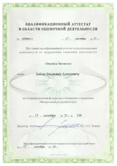 Доля в уставном капитале ООО «СЗТП» (ОГРН 1141326001508, дата присвоения ОГРН: 06.06.2014 год, ИНН 1326228122, КПП 132601001) в размере 100%.